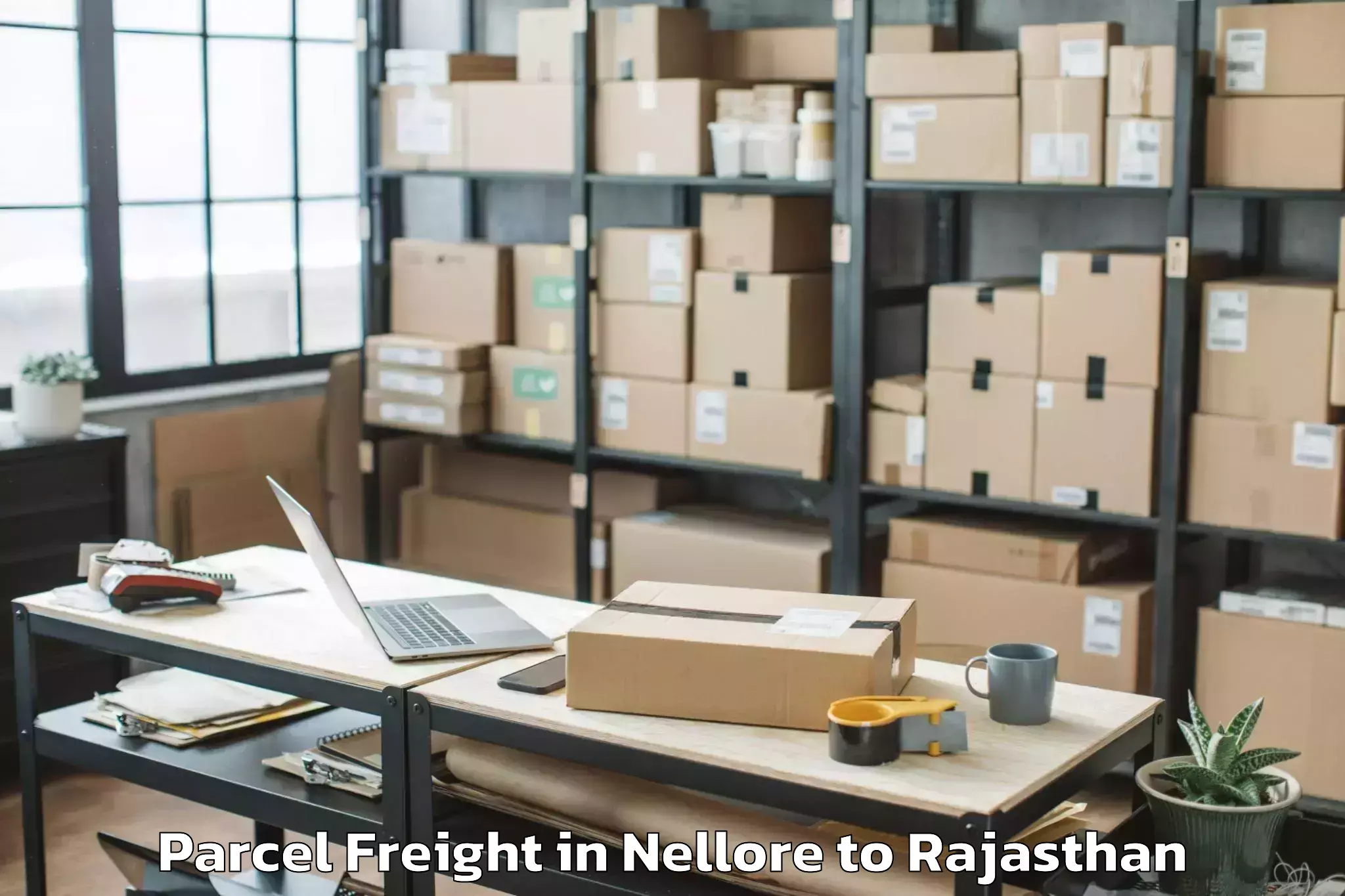 Quality Nellore to Pacific University India Udaip Parcel Freight